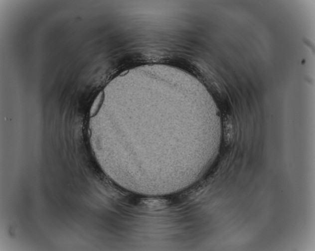 X0000090990221200708301319