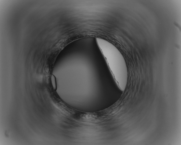 X0000090990223200708301319