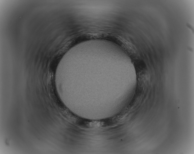 X0000090990225200708301319