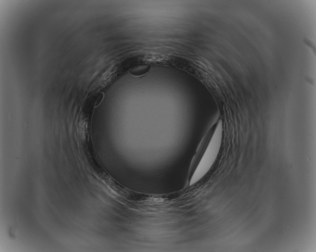 X0000090990227200708301319