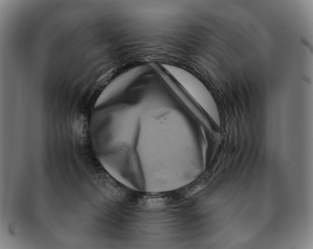 X0000090990228200708301319