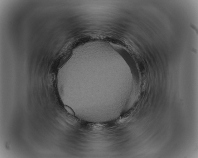 X0000090990229200708301319