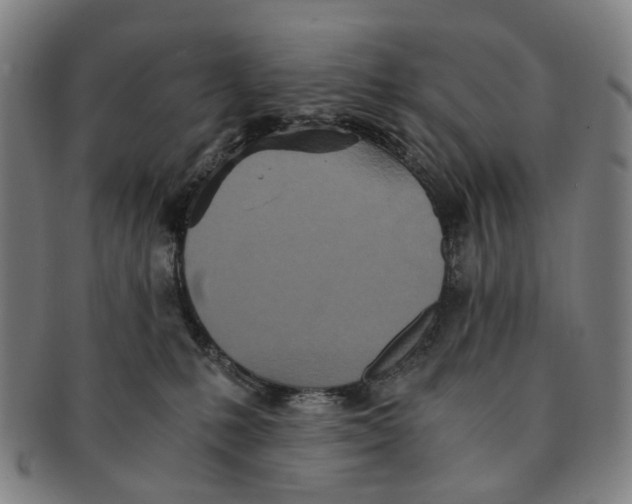 X0000090990231200708301319