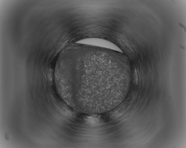 X0000090990232200708301319