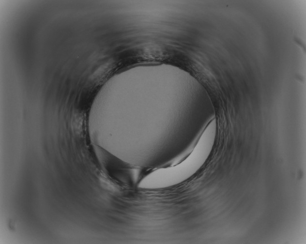 X0000090990233200708301319