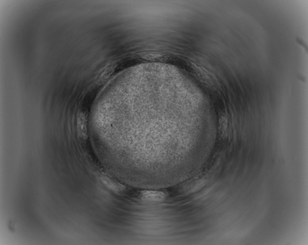 X0000090990234200708301319