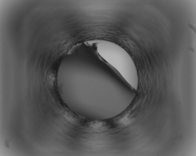 X0000090990235200708301319