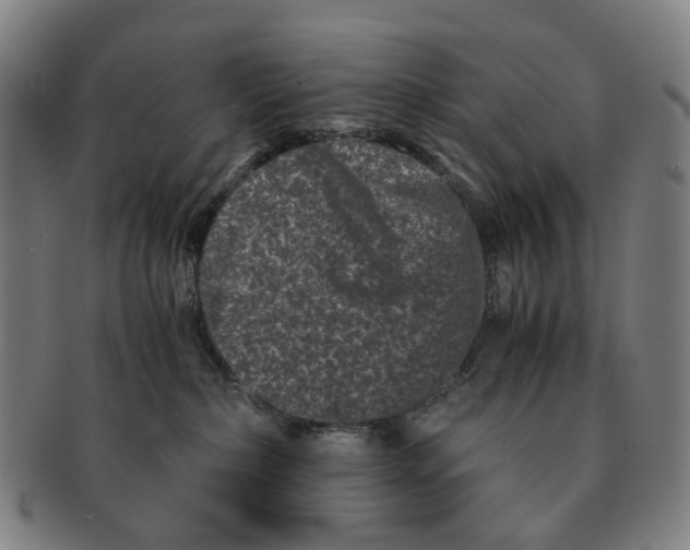 X0000090990236200708301319