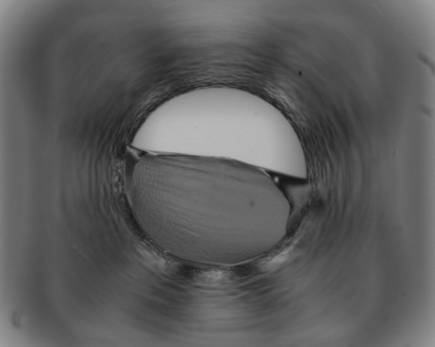 X0000090990237200708301319