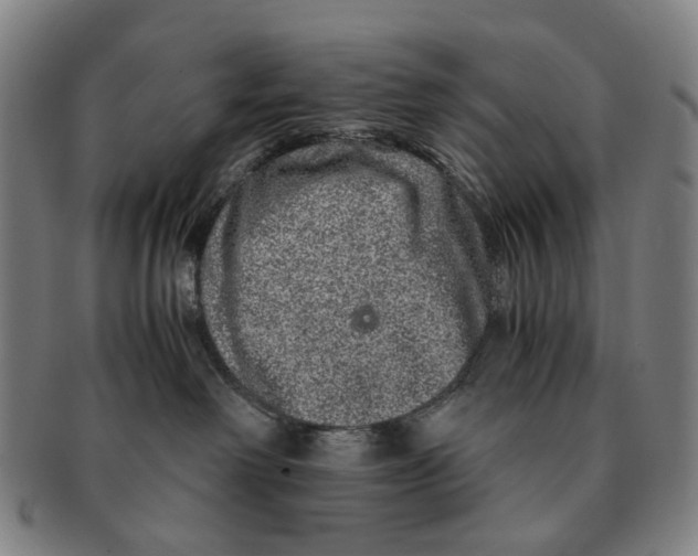 X0000090990238200708301319