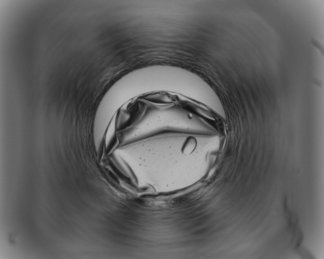 X0000090990239200708301319