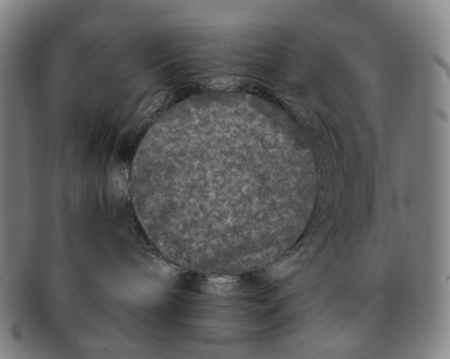 X0000090990240200708301319