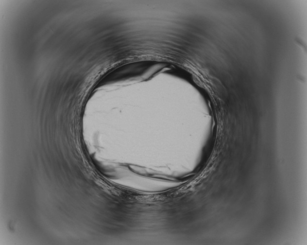 X0000090990241200708301318