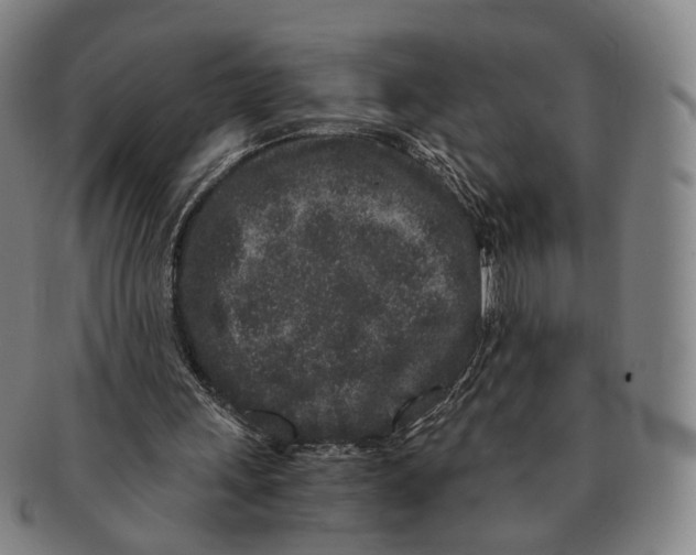 X0000090990243200708301318