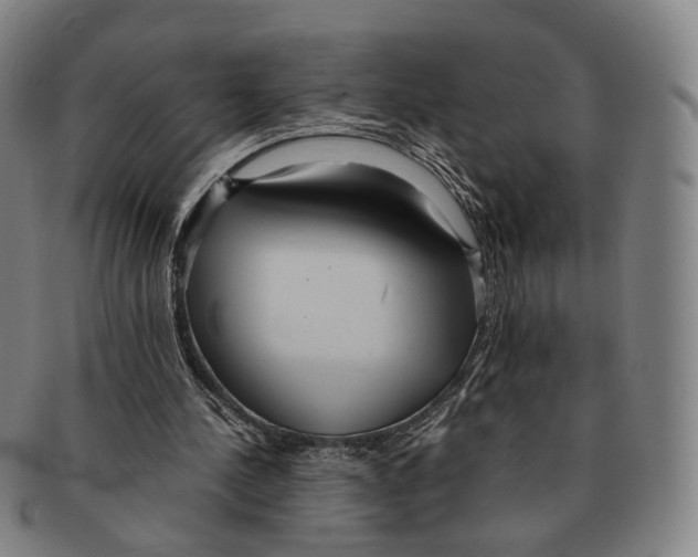 X0000090990244200708301318