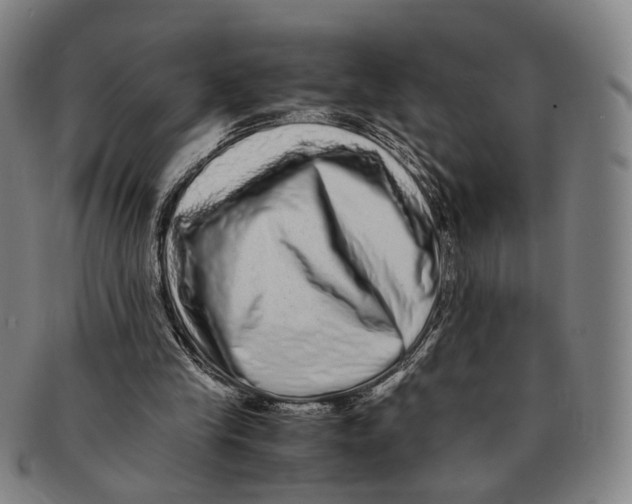 X0000090990245200708301318