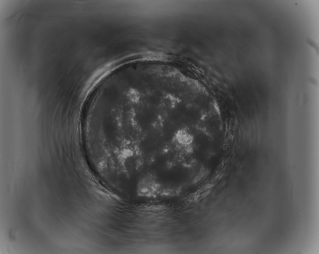 X0000090990247200708301318