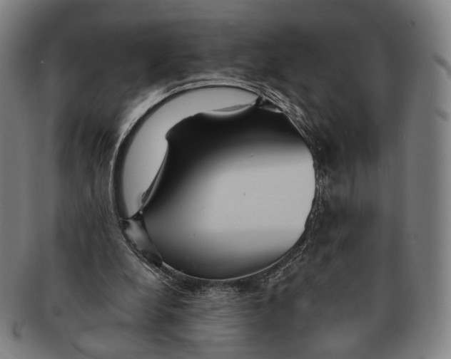 X0000090990248200708301318