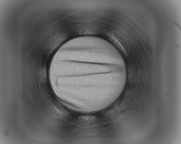 X0000090990251200708301318