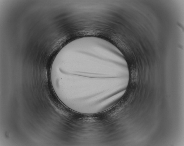 X0000090990254200708301318