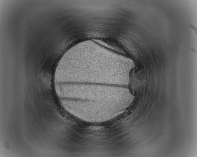 X0000090990255200708301319