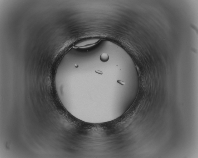 X0000090990256200708301319