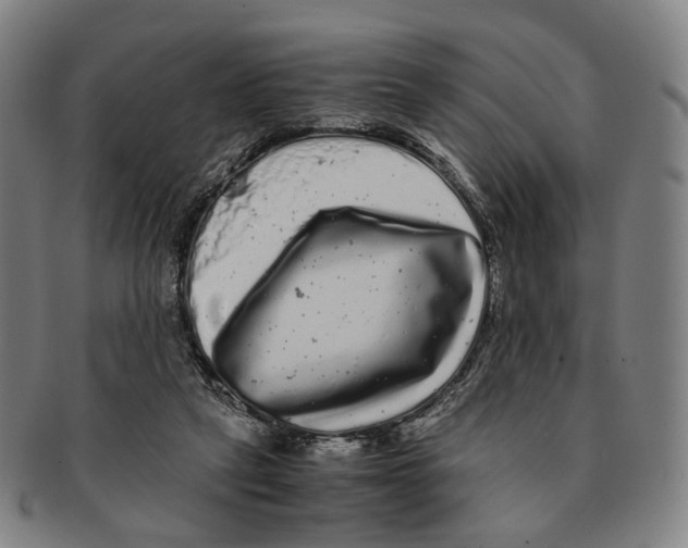 X0000090990257200708301319