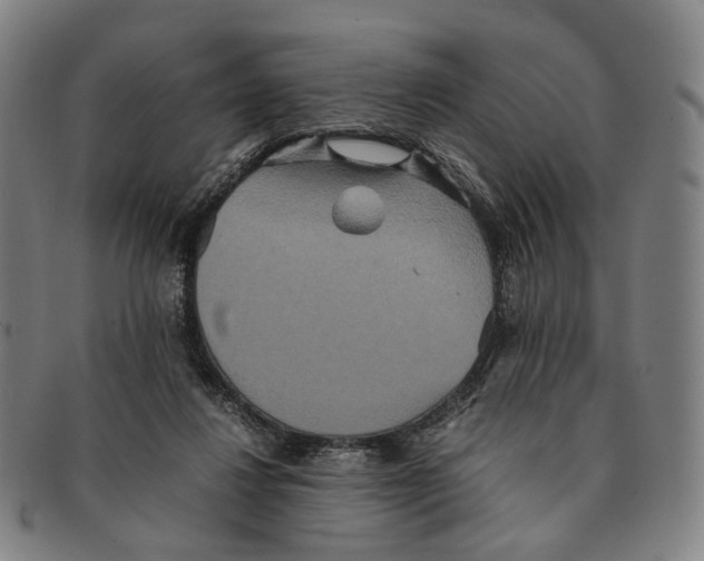 X0000090990260200708301319