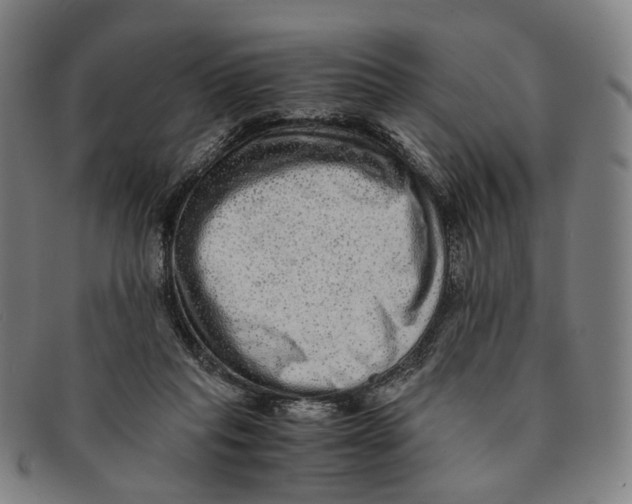 X0000090990261200708301319