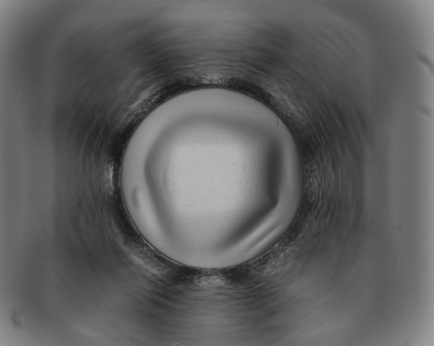 X0000090990262200708301319