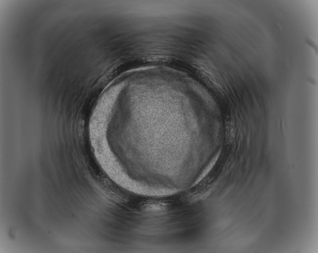 X0000090990263200708301319