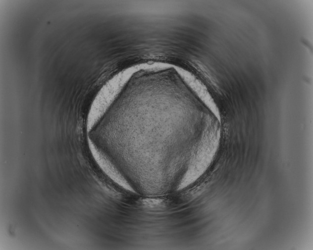 X0000090990265200708301319