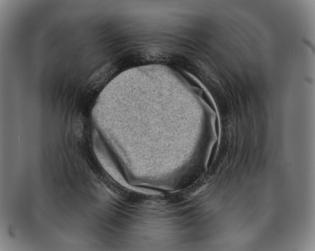 X0000090990266200708301319