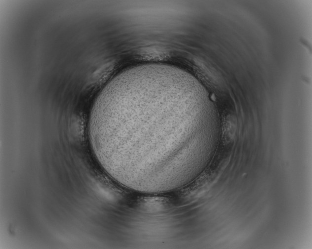 X0000090990268200708301319