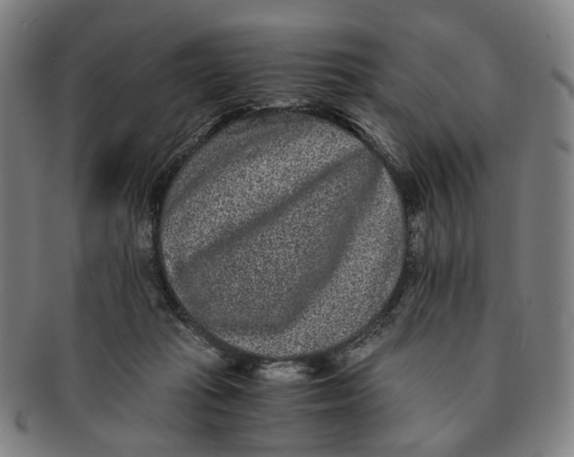 X0000090990269200708301319