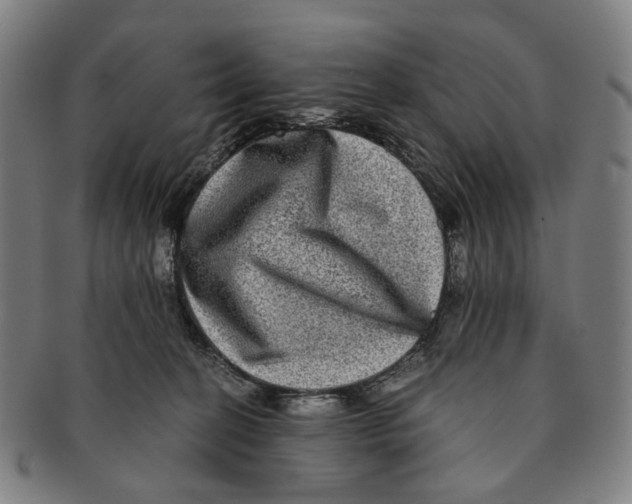 X0000090990274200708301319