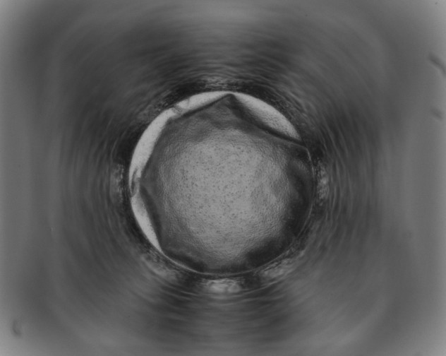 X0000090990275200708301319