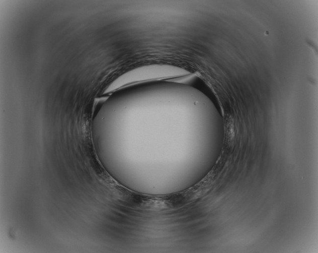 X0000090990276200708301319