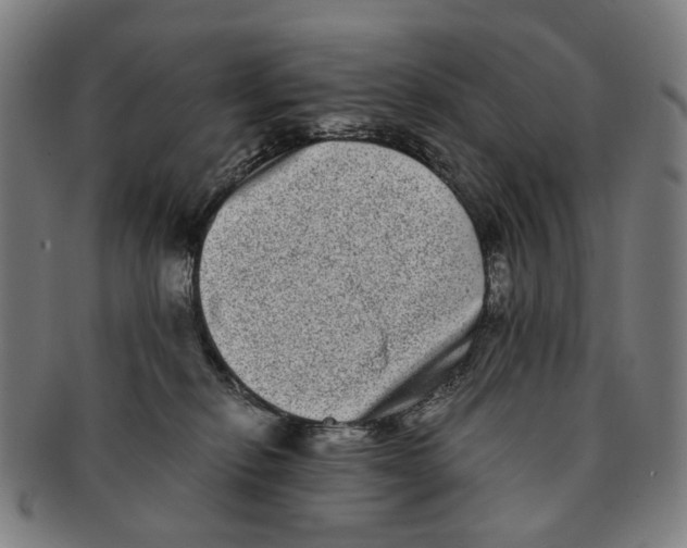 X0000090990278200708301319