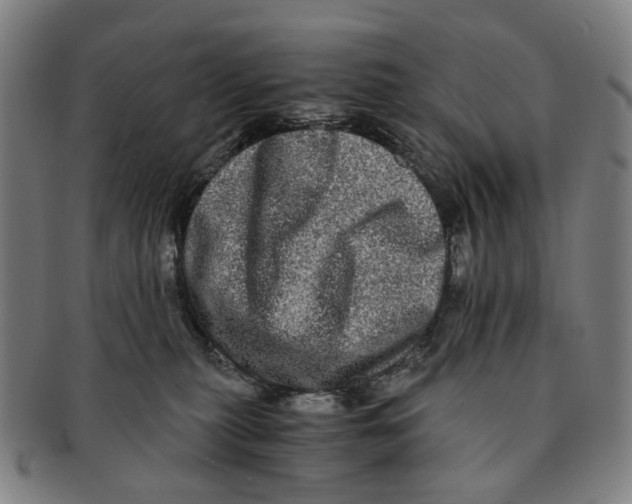 X0000090990279200708301319