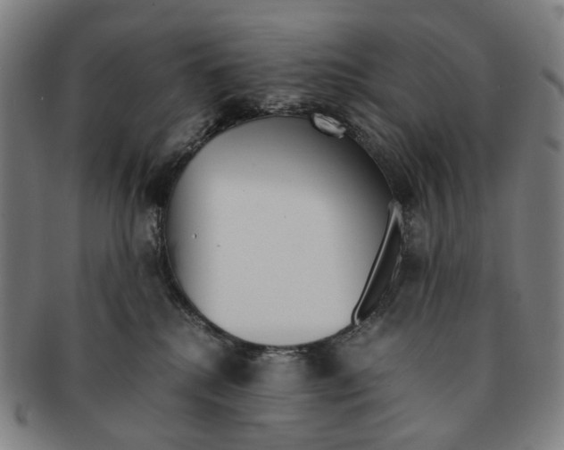 X0000090990280200708301319