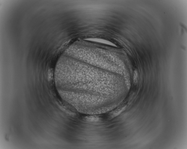 X0000090990284200708301319