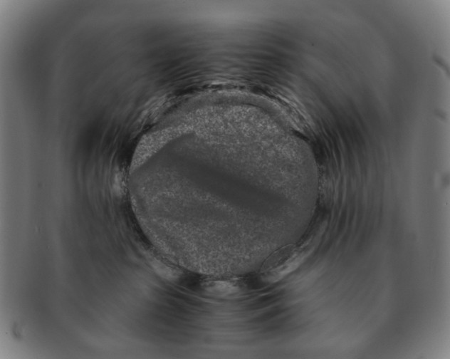 X0000090990285200708301319