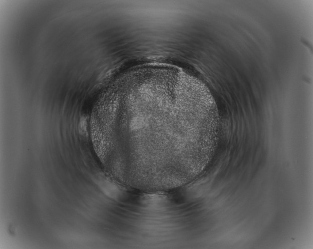 X0000090990286200708301319