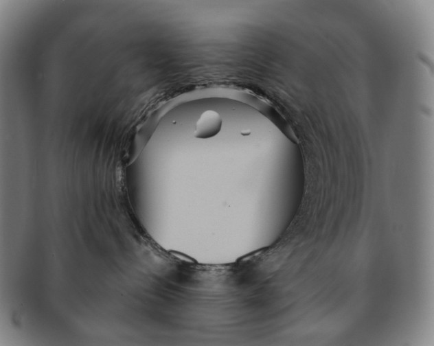 X0000090990288200708301319