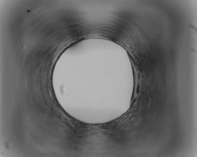 X0000090990289200708301318