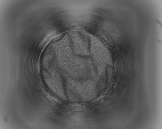 X0000090990290200708301318