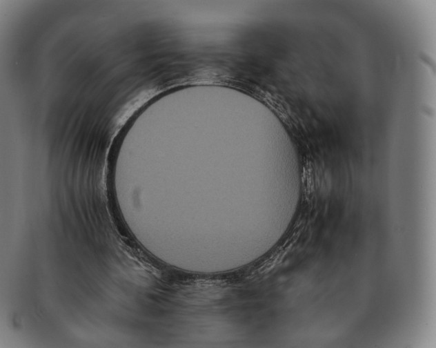 X0000090990292200708301318