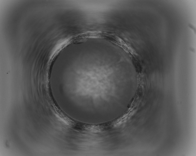 X0000090990293200708301318