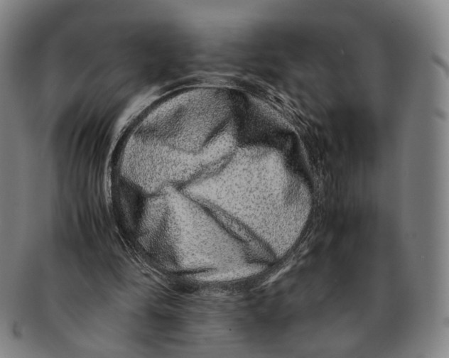 X0000090990294200708301318